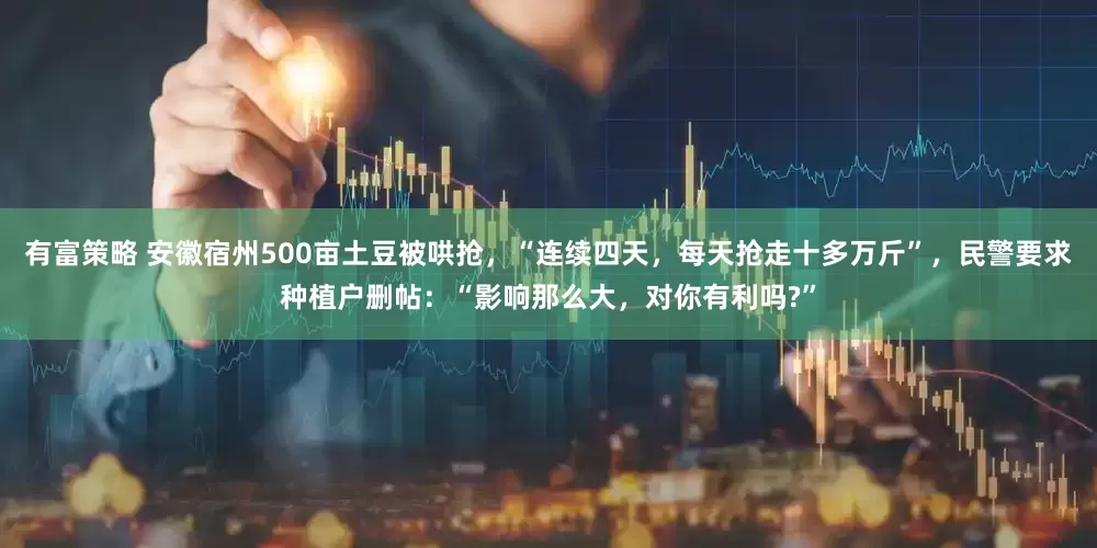 有富策略 安徽宿州500亩土豆被哄抢，“连续四天，每天抢走十多万斤”，民警要求种植户删帖：“影响那么大，对你有利吗?”