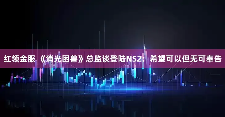 红领金服 《消光困兽》总监谈登陆NS2：希望可以但无可奉告