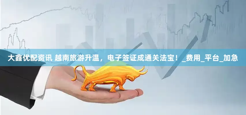 大鑫优配资讯 越南旅游升温，电子签证成通关法宝！_费用_平台_加急