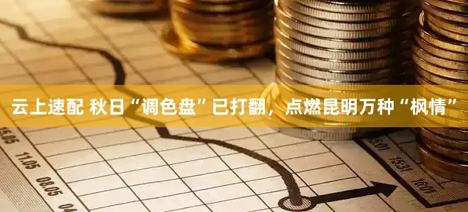 云上速配 秋日“调色盘”已打翻，点燃昆明万种“枫情”