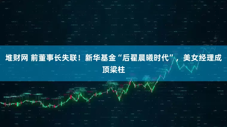 堆财网 前董事长失联！新华基金“后翟晨曦时代”，美女经理成顶梁柱